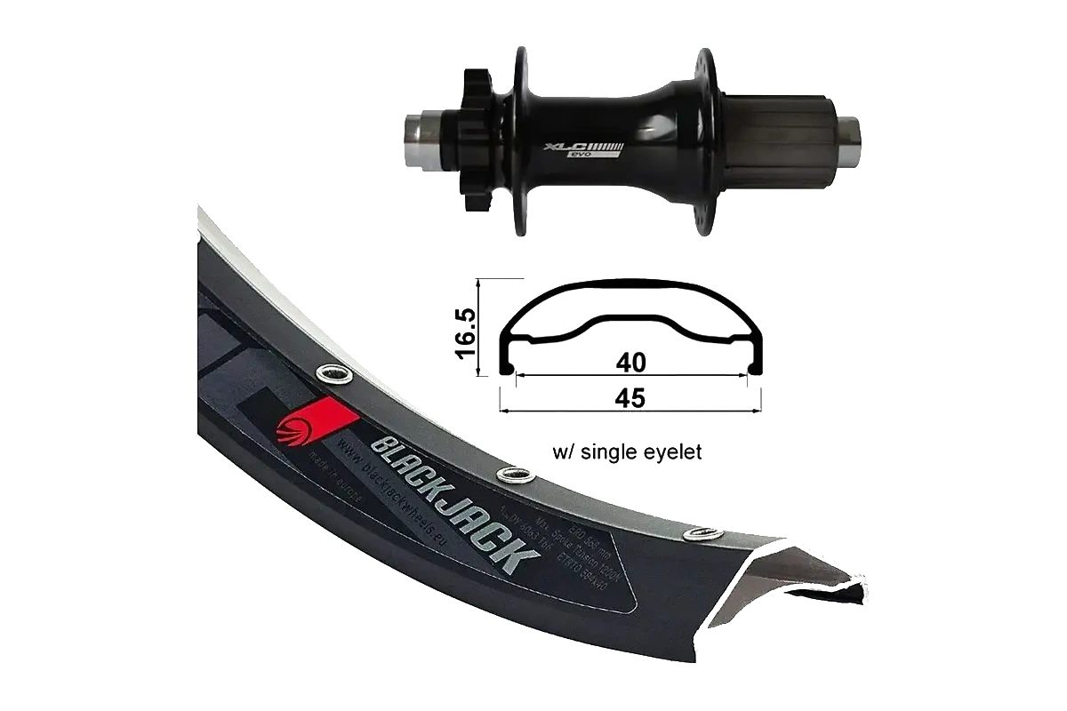 XLC Wheel Rodi Ready 40 27,5″ Kiekko Taakse