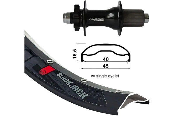 XLC Wheel Rodi Ready 40 27,5″ Kiekko Taakse