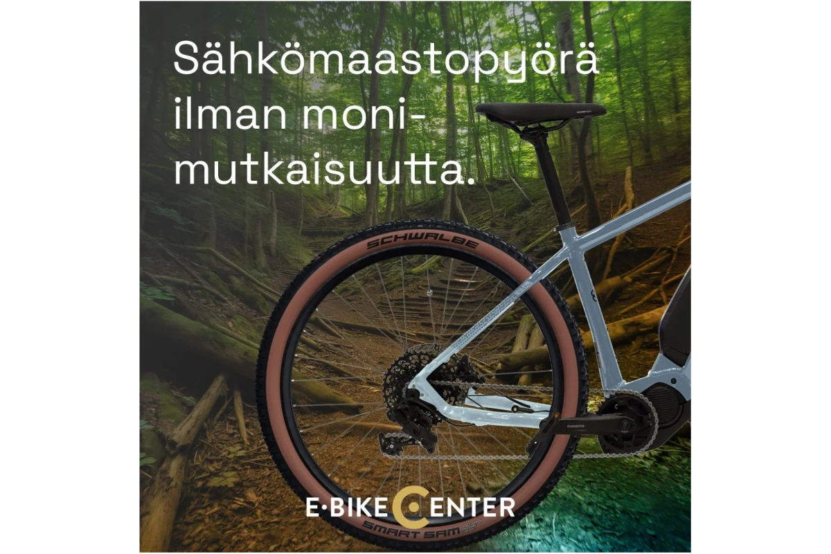 Tunturi Neva E290 sähkömaastopyörä luonnossa takaa